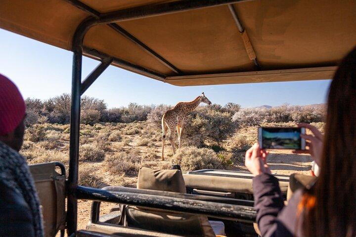 2 Day Inverdoorn Luxury Safari