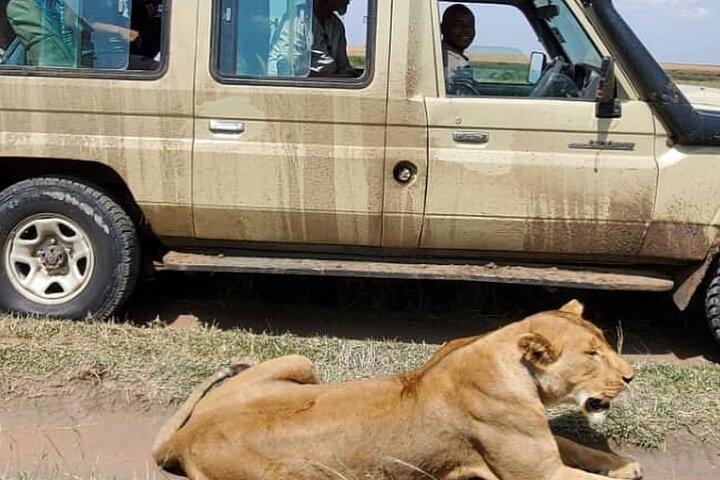 3 Días Parque Nacional Selous Nyerere safari en barco y caminata