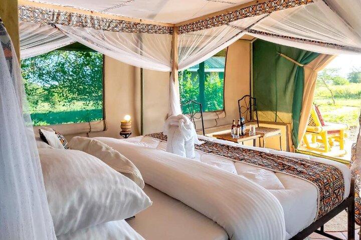 3 Días Parque Nacional Selous Nyerere safari en barco y caminata