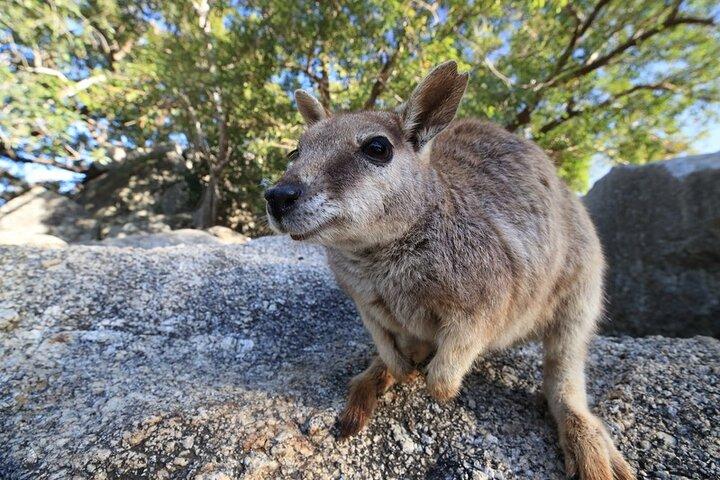 Excursão de dia inteiro em Atherton Tablelands com degustação de comida