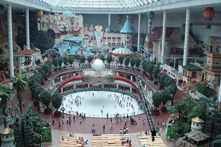 プライベートツアー ロッテワールド、タワー、水族館（すべてのチケットが含まれています）