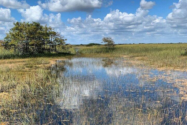 Visite privée des Everglades : explorez la beauté des Everglades