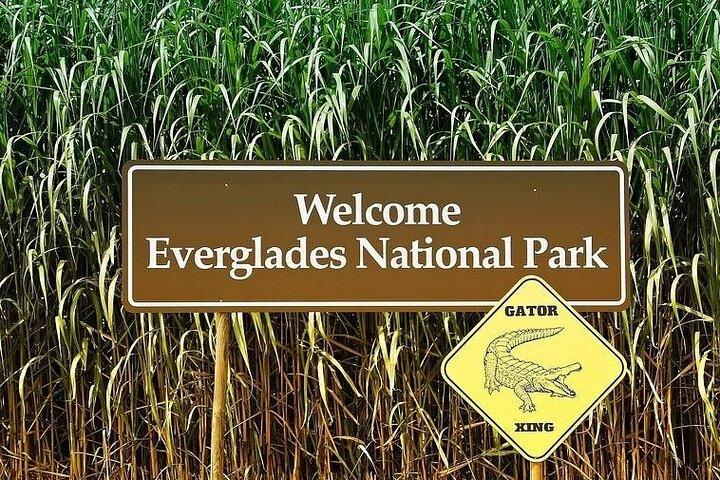 Visite privée des Everglades : explorez la beauté des Everglades