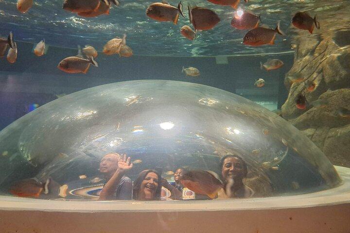 AquaRio og Biopark halvdagstur