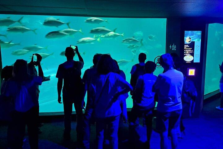 AquaRio og Biopark halvdagstur