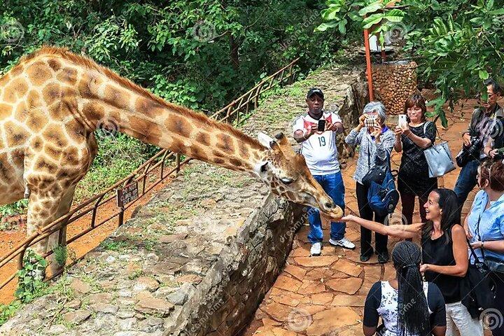 ナイロビ発キリン センターとケニアのボーマス 1 日ツアー