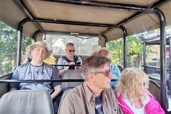 Private Shuttle to the Kruger National Park