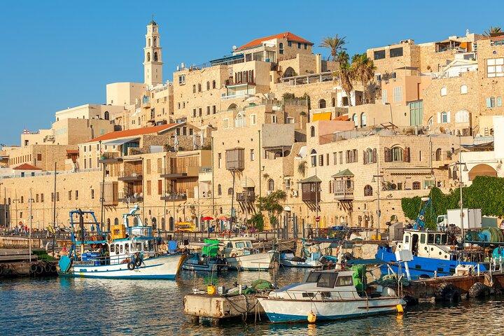 Excursão terrestre privada de dia inteiro em Tel Aviv saindo do porto de cruzeiros de Haifa