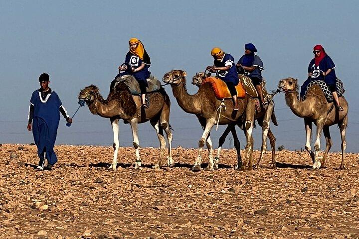Marrakech fyrhjuling och buggy: fyrhjulingstur