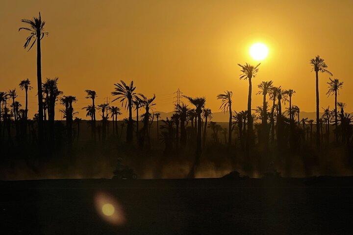 Marrakech Quad & Buggy: tour in quad