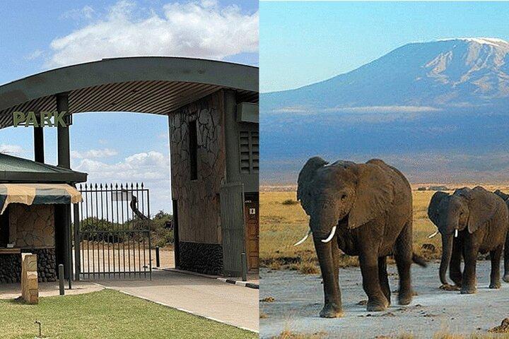 アンボセリ国立公園日帰りツアー;無料Wifi接続