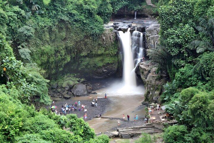 Private Half-Day Tour: Ubud Waterfall Trip-pakketten