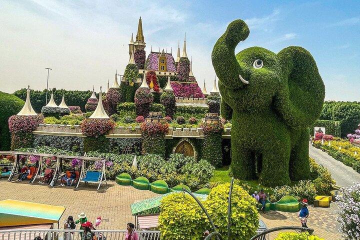 Dubai Miracle Garden and Dubai Frame Tour with Transfer