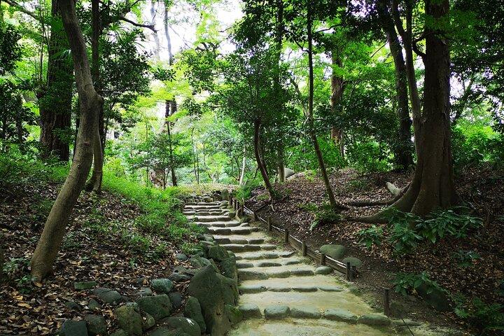 浅草発：古い東京、寺院、庭園、ポップカルチャー