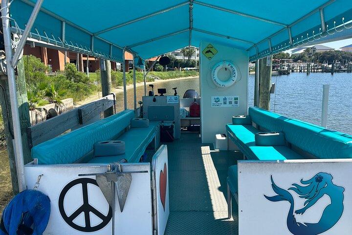 Frisky Mermaid Dolphin Cruise com uma parada de praia isolada