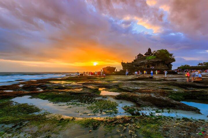 Bali Tour: The Best Way to Explore The Highlight of Bali