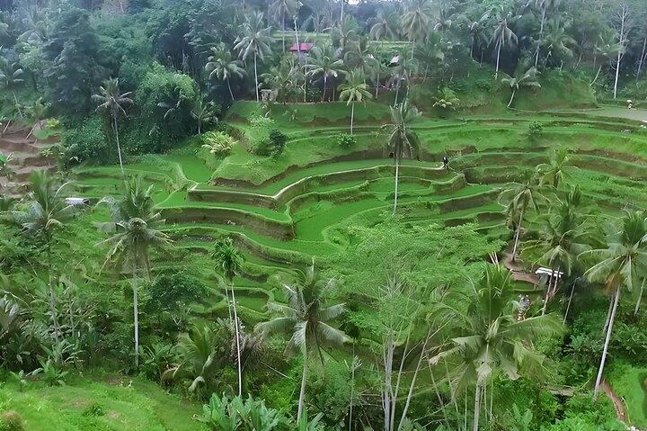 Bali Tour-Packages 2 Days: Best Bali Short Trip