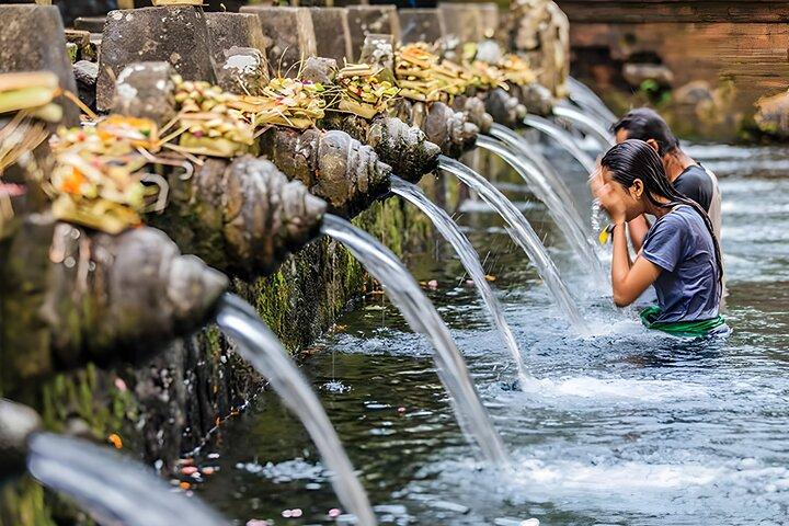 Bali Full-Day Car Charter: Ubud and Kintamani Volcano Trip