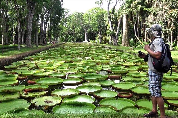 植物園と北の物語＆ラヴェンチュール・デュ・スクレ