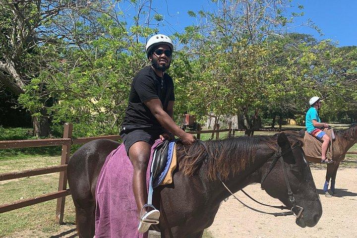 Blue Hole Private Custom Day Trip from Montego Bay