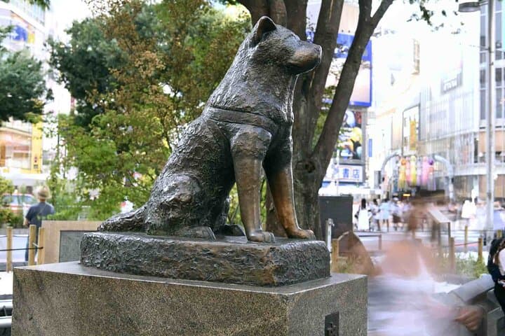 Tokyo Private Tour With Guide