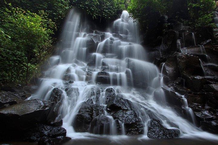 Discover Ubud: 2 Days Ubud Private Tour
