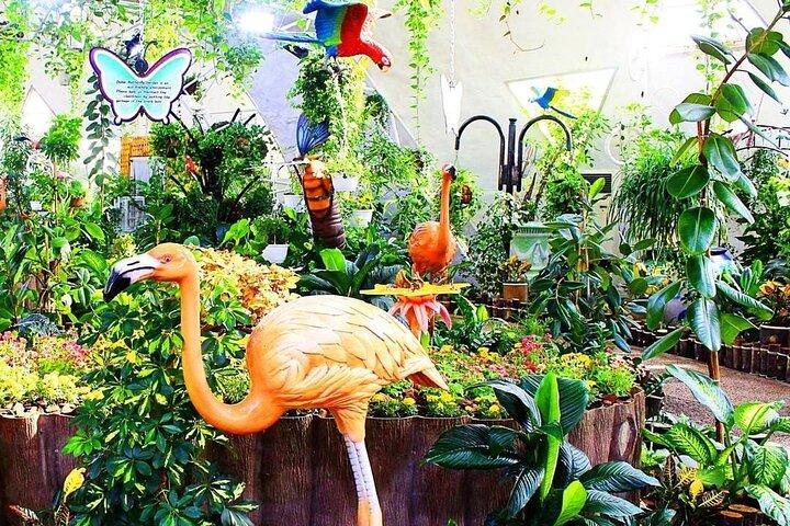 Dubai Butterfly Garden Tour mit optionalem Transportservice