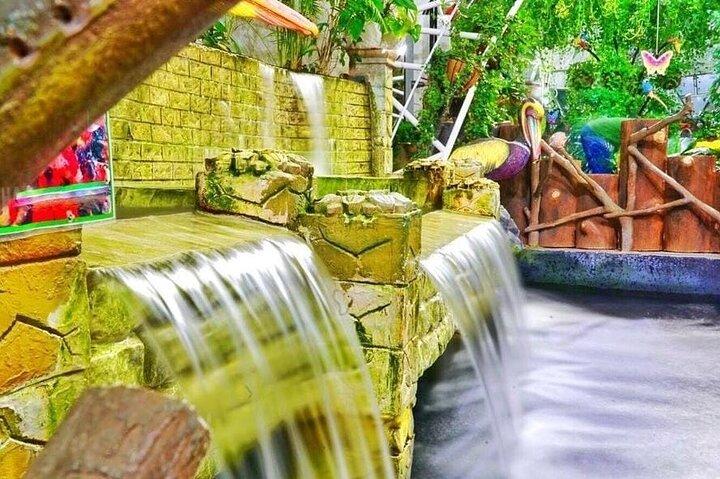 Dubai Butterfly Garden Tour mit optionalem Transportservice
