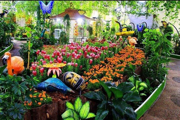 Dubai Butterfly Garden Tour mit optionalem Transportservice