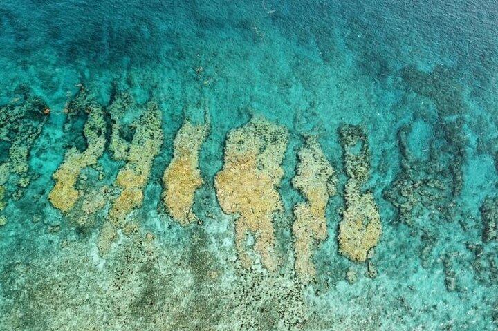 Smågrupp Key West Snorkel Äventyr