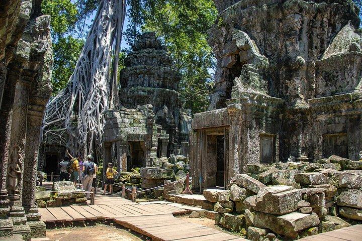 Visite guidée privée à Angkor Wat et ses environs-Angkor Park