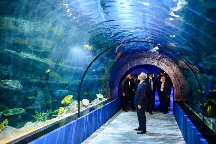 オディッセオ水族館、ラブドネ城、ランチDE北部ツアー