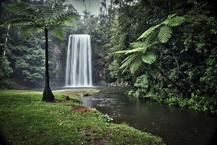 Ganztägige Tour durch die Atherton Tablelands mit Verkostung von Speisen
