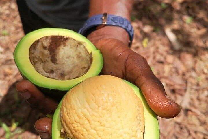 Zanzibar Spice tour
