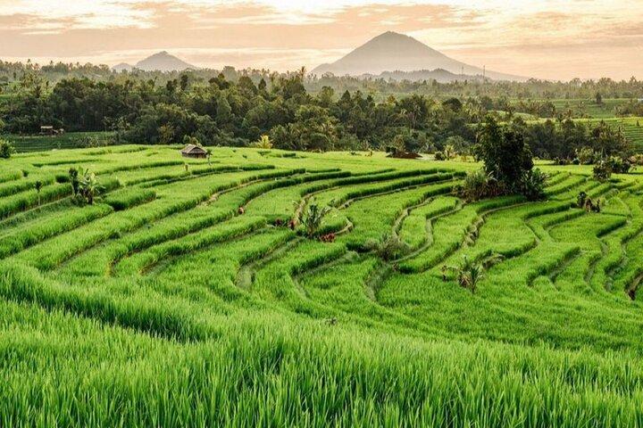 Bali 3 jours visite privée-Bali