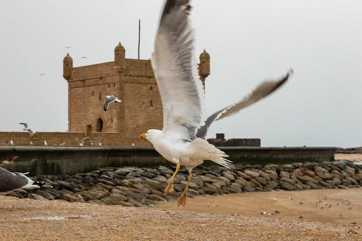 Essaouira-dagstur fra Marrakech