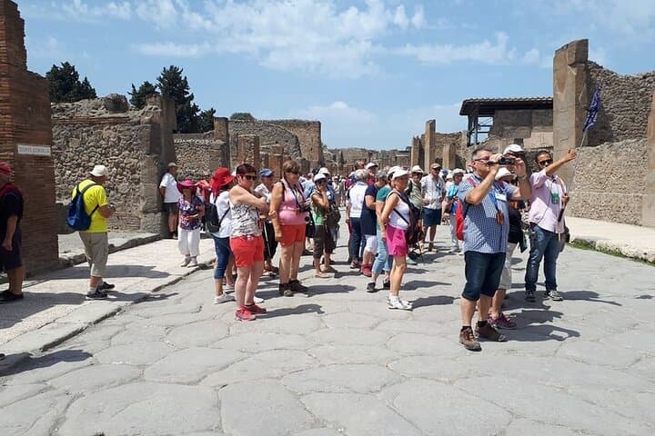 Guided Visit in Pompeii and Mount Vesuvius in Spanish and French