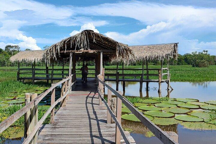 Tour de medio día por el río Reunión de las aguas y el lago Janauary
