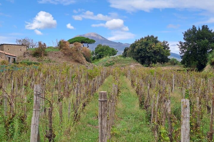 Private tour Pompeii and Herculaneum - transfer from Naples