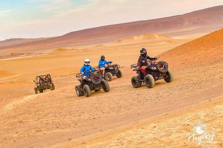 パラカス国立保護区での ATV ツアー アドベンチャー