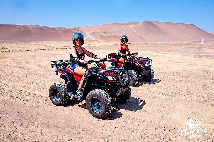 パラカス国立保護区での ATV ツアー アドベンチャー