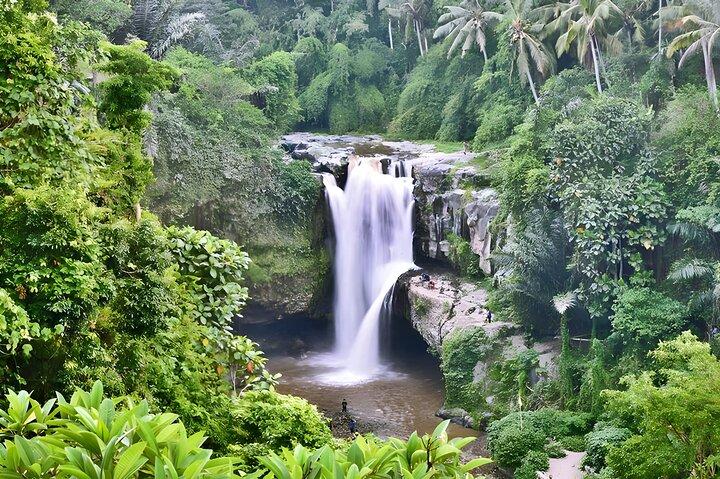 Privat halvdagstur: Ubud Waterfall Tour Packages