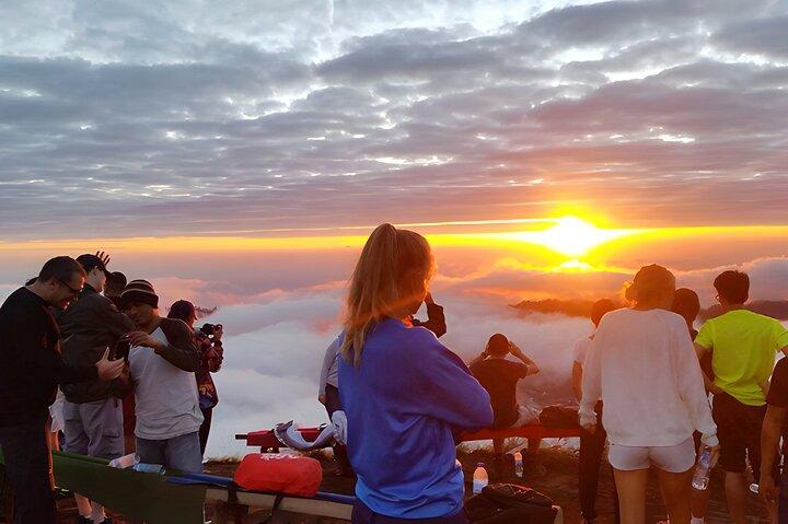 Bali Sunrise Trekking et excursion d'une journée à Ubud Meilleure destination
