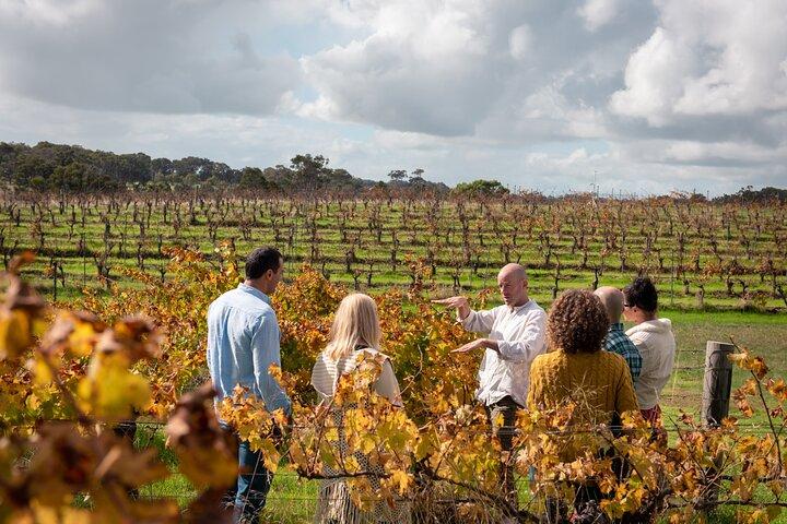 Hidden Gems of Margaret River: Vin, italiensk frokost og emu fodring
