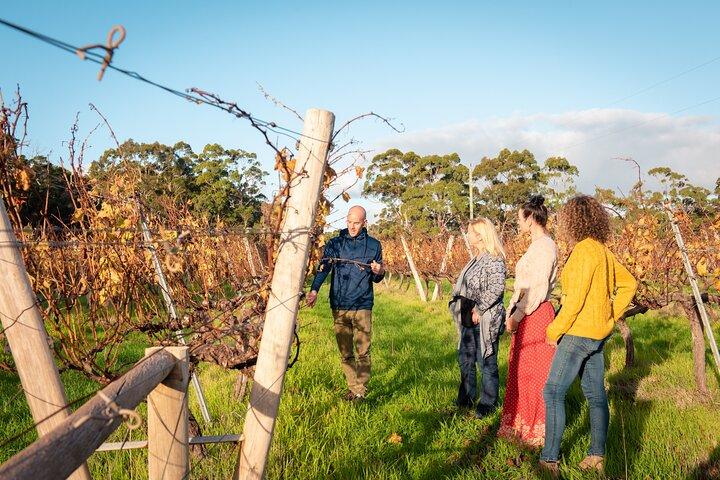 Margaret River Small-Group Curated Wine, Coffee, Lunch & Forest