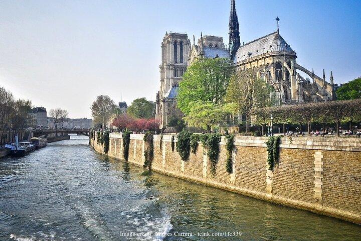 Île de la Cité Privat 2h Tour med Latin Quarter och Seine River