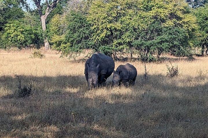 Safari a piedi con Rhino