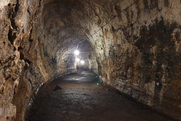 Santa Cruz Highland Tour: Giant Tortoises, Lava Tunnel & Gemelos