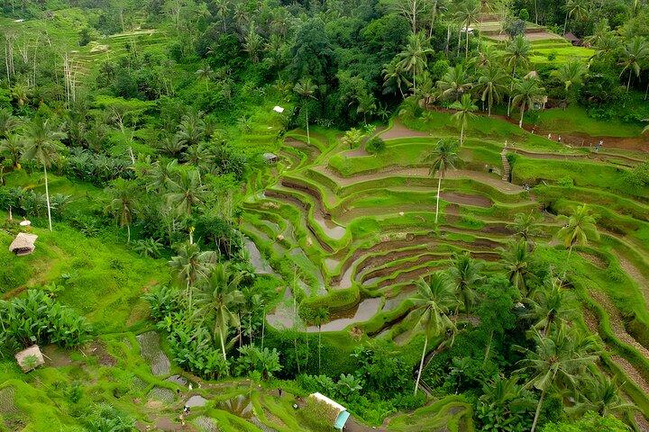 Pacchetti Bali Water Sports e Ubud Tour
