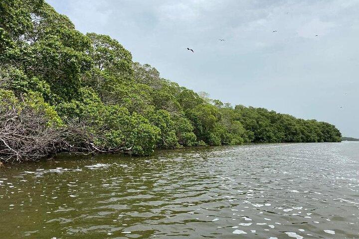 メリダ発セレストゥンの生物圏保護区へのボートツアー